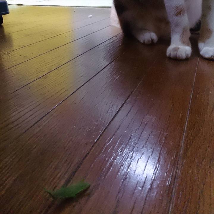 D3ceb7b3 c246 415e 8868 984d77b783fc