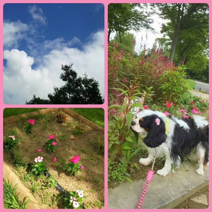 D3cebe08 31a0 451e b72b 592d609e1747