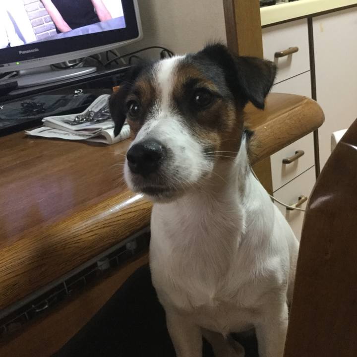 D3cf0298 b8bc 4e85 ab59 b528239233e1