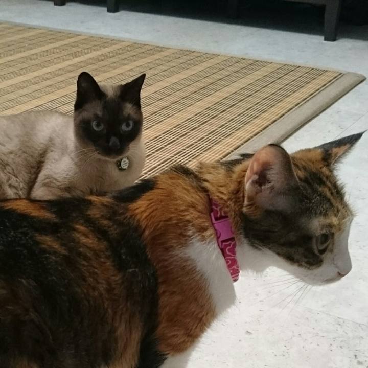 D3d00095 b013 44a4 a659 02da63f4c9d7