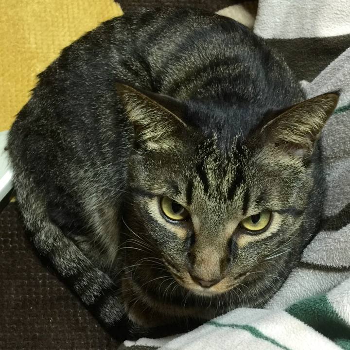 D3d07985 e645 4ef1 84ca b7f53c881e86