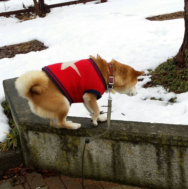 D3d115d3 2d4f 407e b62a c8839908e415