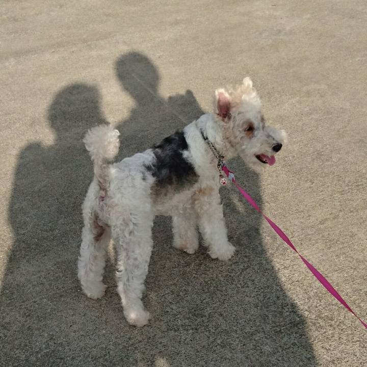 D3d1b08c 9a5f 4d22 be94 d06990eadae6