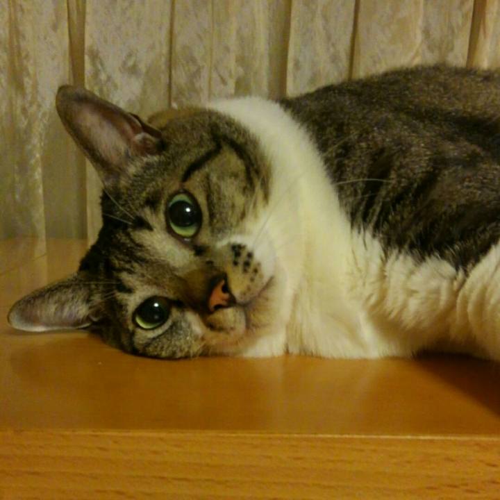 D3d1b298 8505 4af3 b0b8 aada00a0a237