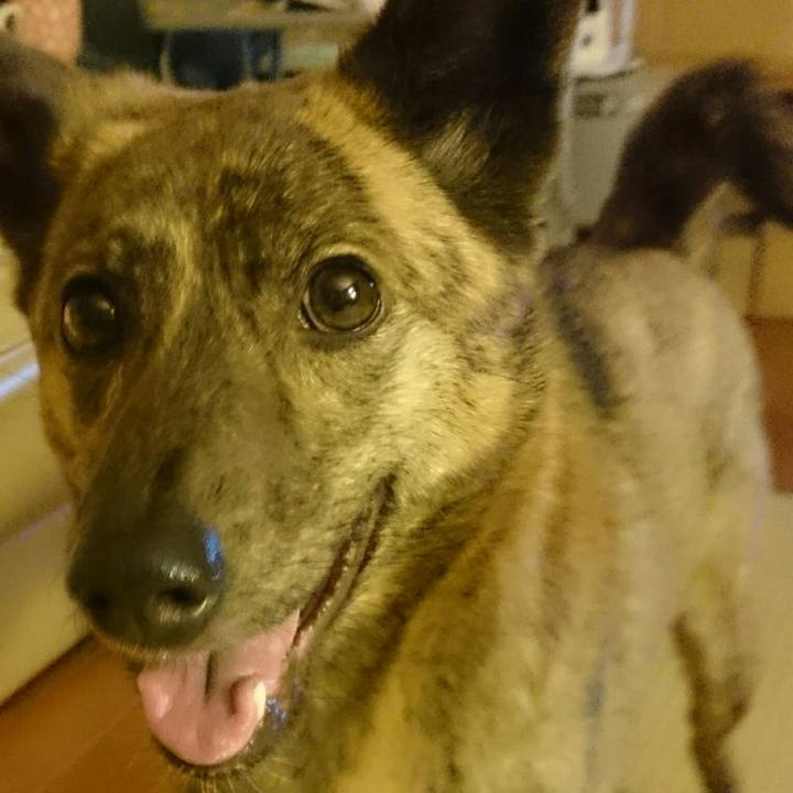 D3d20e2e 1040 49f6 8fee 35bff24c9948