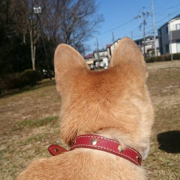 D3d210bd f2be 44ce 98b9 9d44b8a38cfe