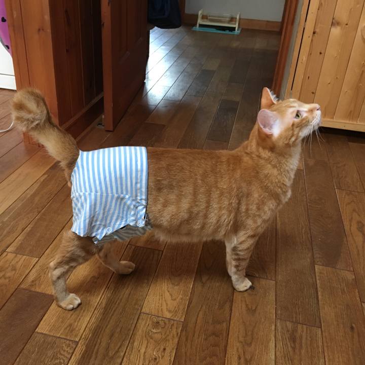 D3d34778 994e 4e32 8700 fb2f479a00f1