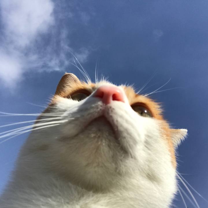 D3d35284 85b9 49c6 b144 93ee7447c844