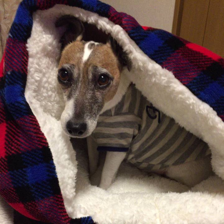 D3d3646c 49d2 4a5b b756 97e7a4e04ab5