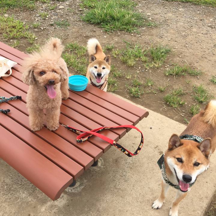 D3d37b8f 75f0 46cd 90a6 379a6515effd