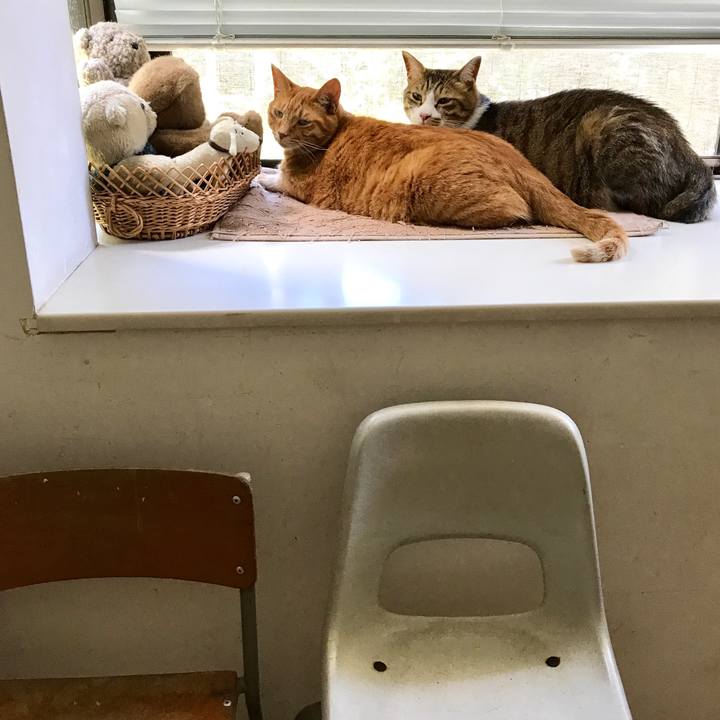 D3d41d5c bd34 4b86 8568 d17b8431b047