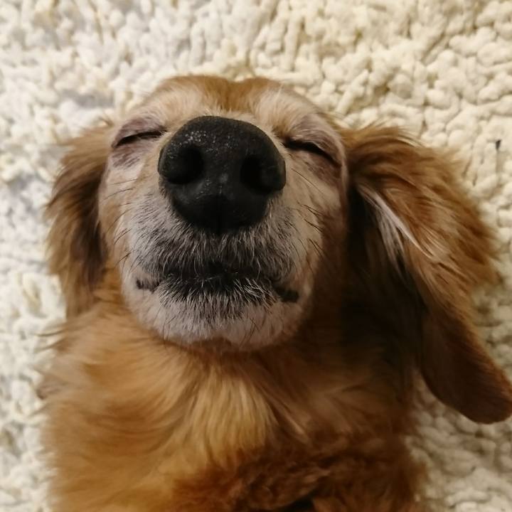 D3d49b15 b7e1 456d 9022 e7e3650e2a64