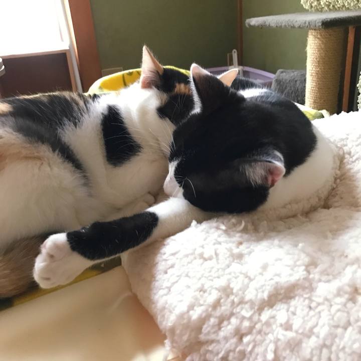 D3d4c30b ad98 4476 a184 f8130362aed9