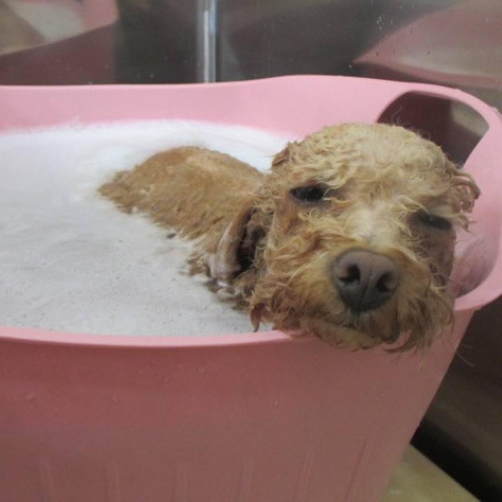 D3d59af6 b5a8 47e8 9d0d e82bb58f7180