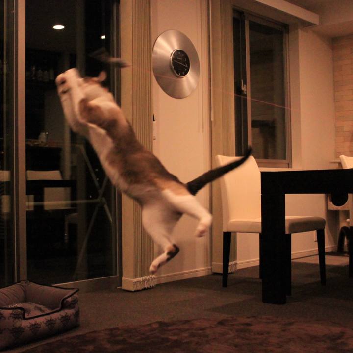 D3d6fd01 46e6 4c43 85b9 7c271bdd1794