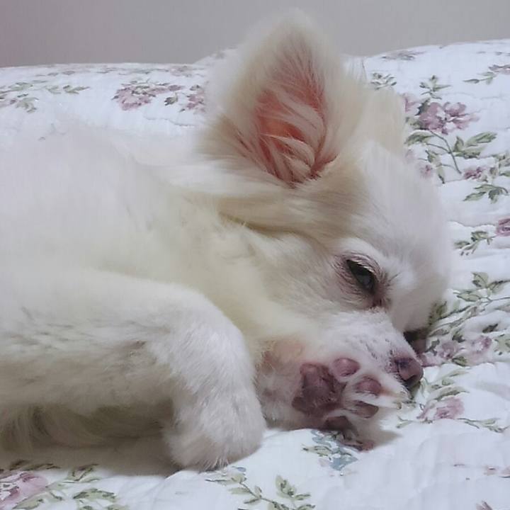 D3d73fd7 ec4d 417c 9c2c b567f98b2837