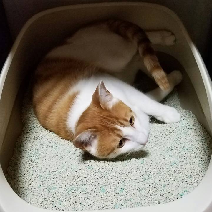 D3d75b11 50c0 41bb 9662 d7a6fb64cbfc