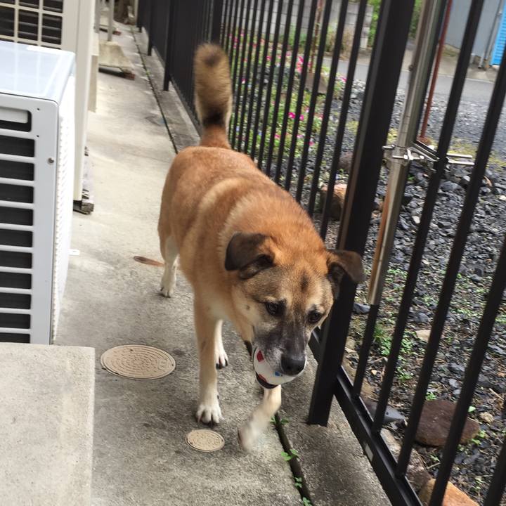 D3d7761e e92d 4928 a1f3 eefd6749cf31