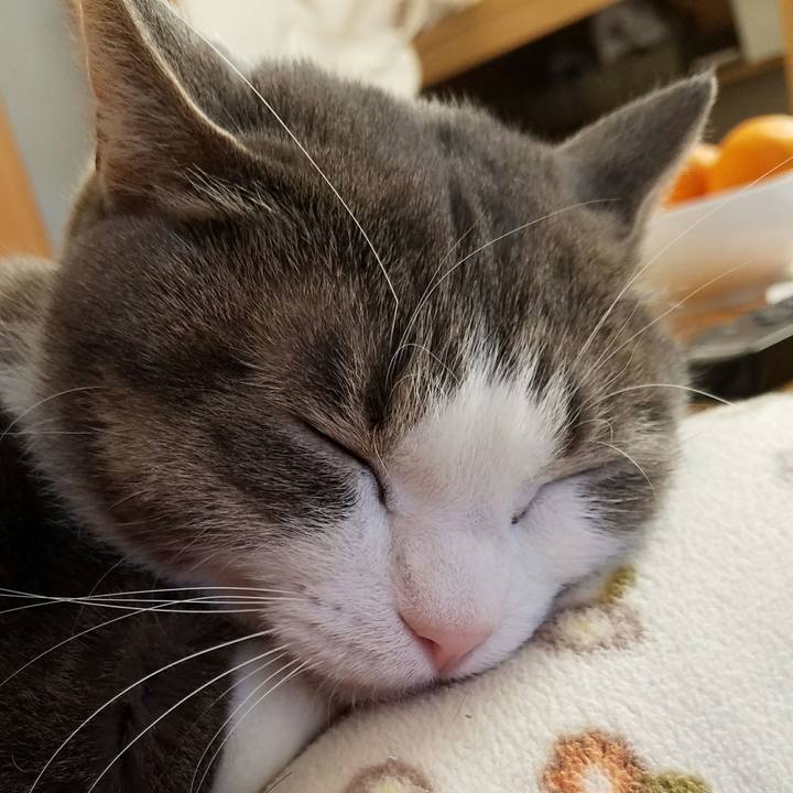 D3d82473 f194 49d3 81f5 452ae5c580fe