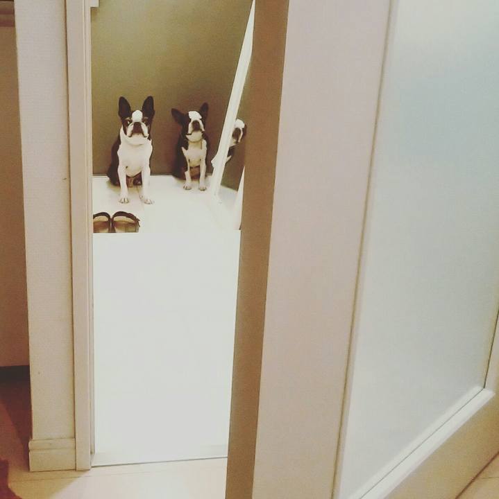 D3d9689c 881c 4a6b b416 9dddecfc74fa