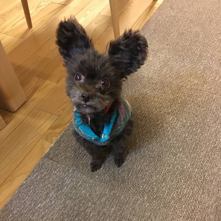 D3da432c 7682 4976 a1aa d11c05b88d88