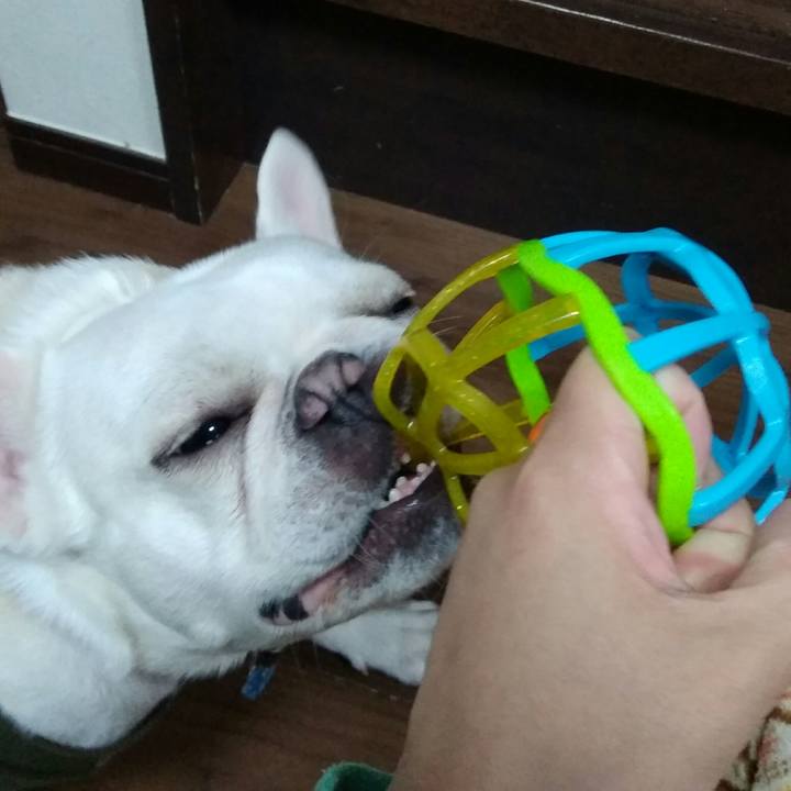 D3db045b 23db 4999 98cb ba3986256e14