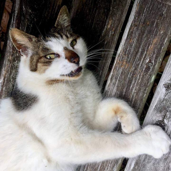 D3dc979c 412b 43d6 ba1d a2e06fe070ae