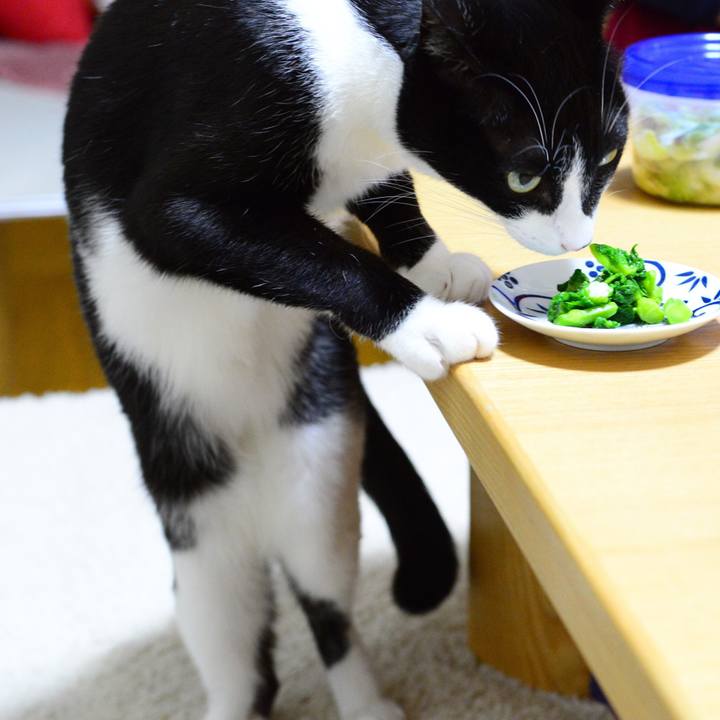 D3dd4208 51aa 4450 a3f2 a2c998d98ee2