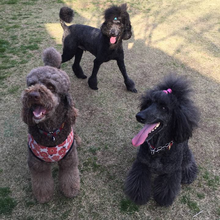 D3dd92fa f7ff 4616 b13e f412342d3758