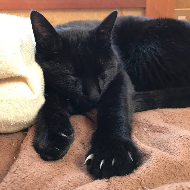 D3dddbfb 8bb8 4e56 aaaa 81b9db971dc2