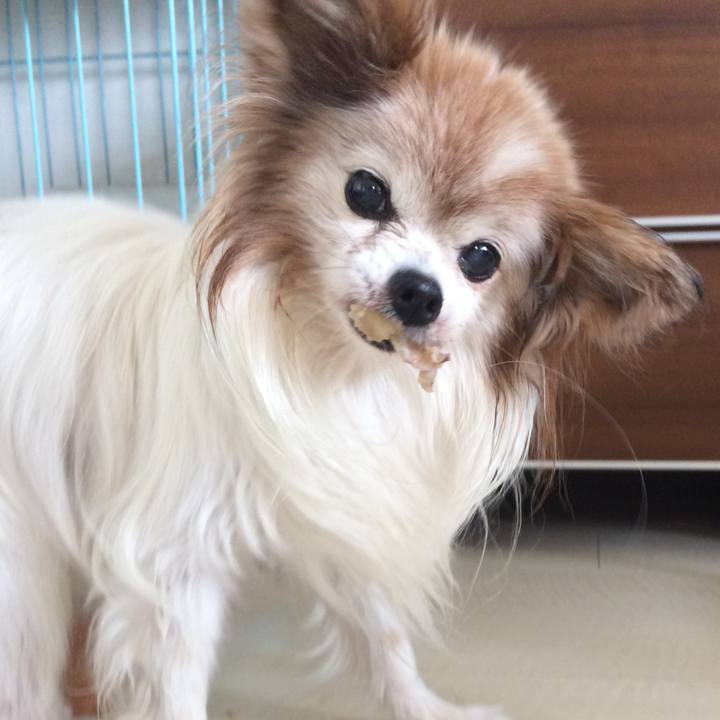 D3de2a6d 7273 4f49 b6d6 372e67ab067f