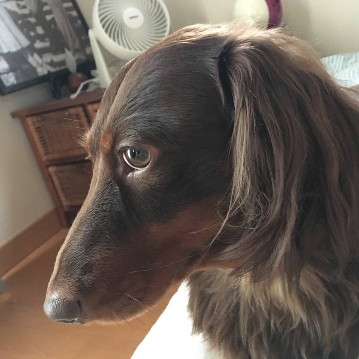 D3de479c 272c 48ff 955c 9a7a682cc133