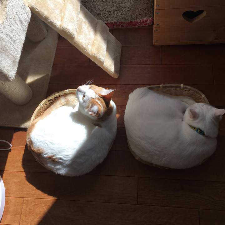 D3def2b3 1b0b 432b 9d38 a34aa54c1246