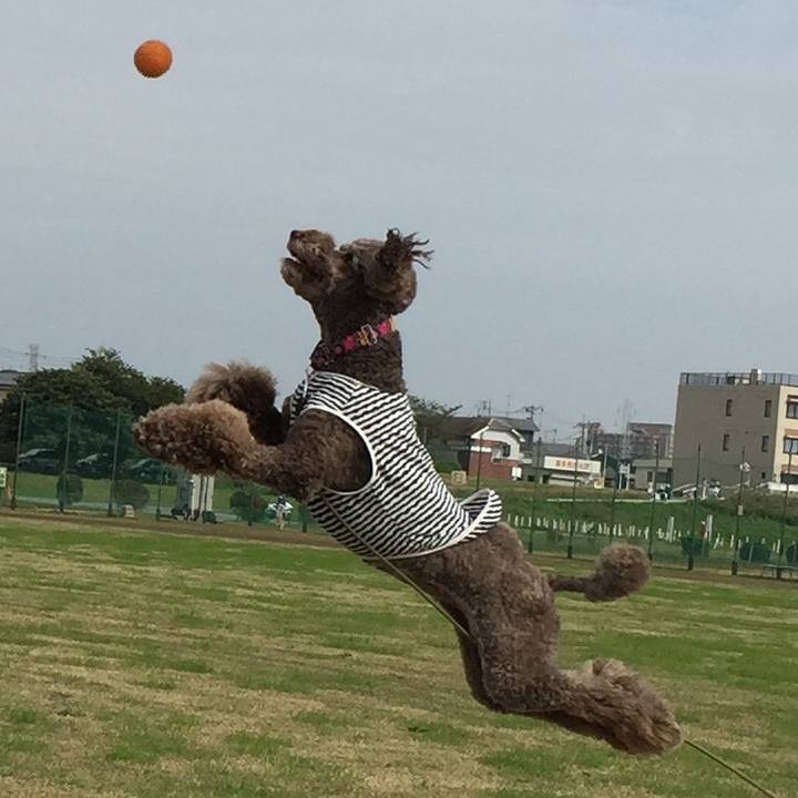 D3df394c 2281 4ea1 8161 b672789891ec