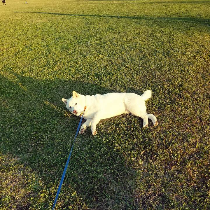 D3df3ead a944 49e6 9e6f ca2a79ed05c0