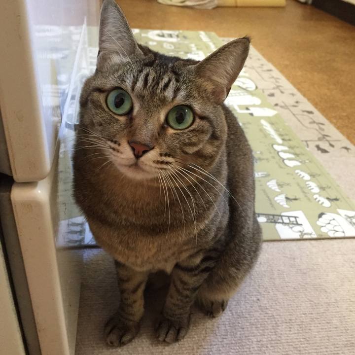 D3df9b78 6b0d 431a 9865 70a533b8ecd8