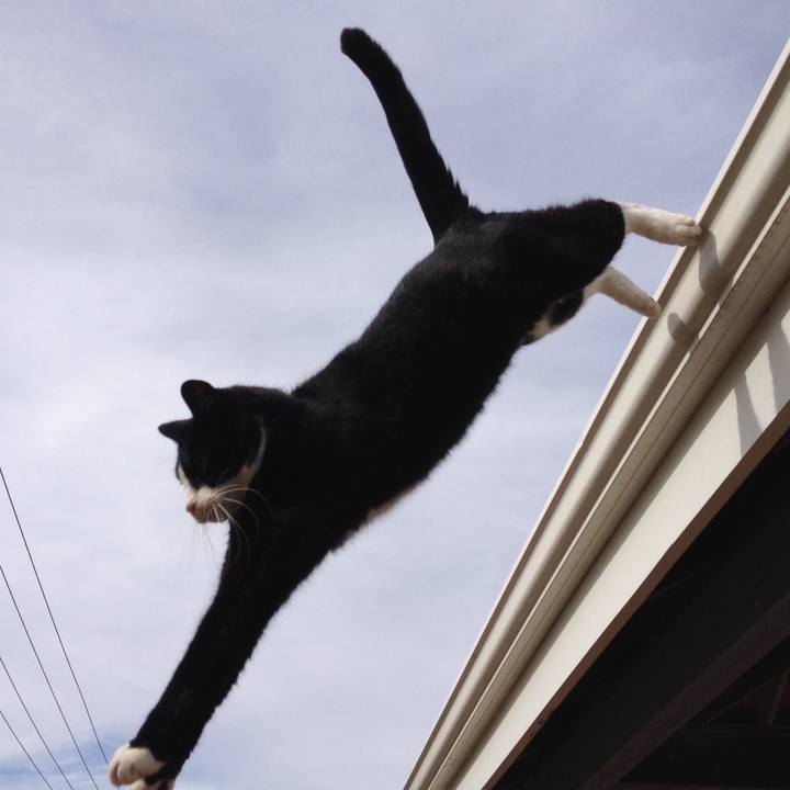 D3e010ab 3e4b 464c b0b3 88b7a10c5a5f