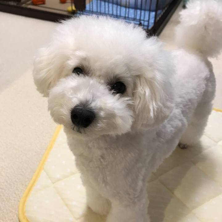 D3e0a5af d9bb 4b81 b1db 96887aa3853f