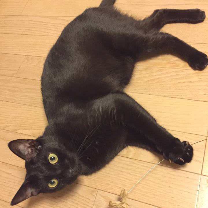 D3e0fb83 8887 472c 90a7 1aefda9fe7a8