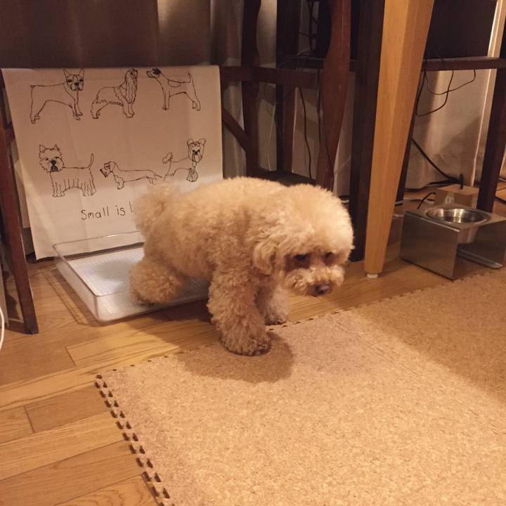 D3e10b8a b2d6 4f69 9755 a5d8e23333ba