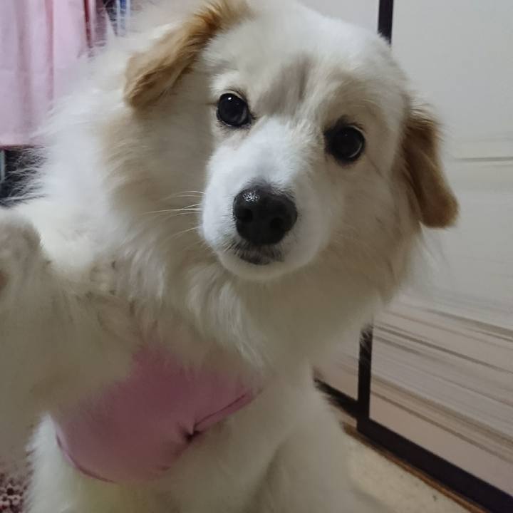 D3e12eef c82a 4279 ba5f cdf3d3d10d7b