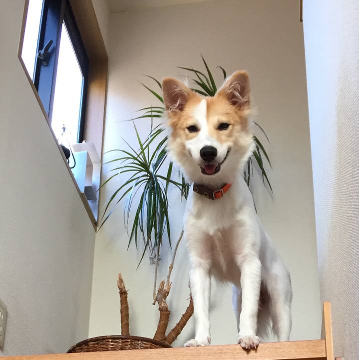 D3e1660e f647 49c8 97e1 a4cac99b6ddb