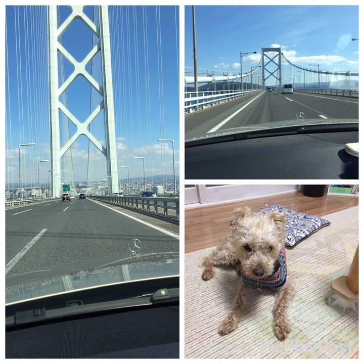 D3e2024b 080f 4c52 8f2b b84940620cf5