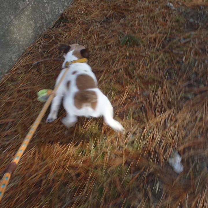 D3e297b6 7d46 43a6 a02d bea75567f19d