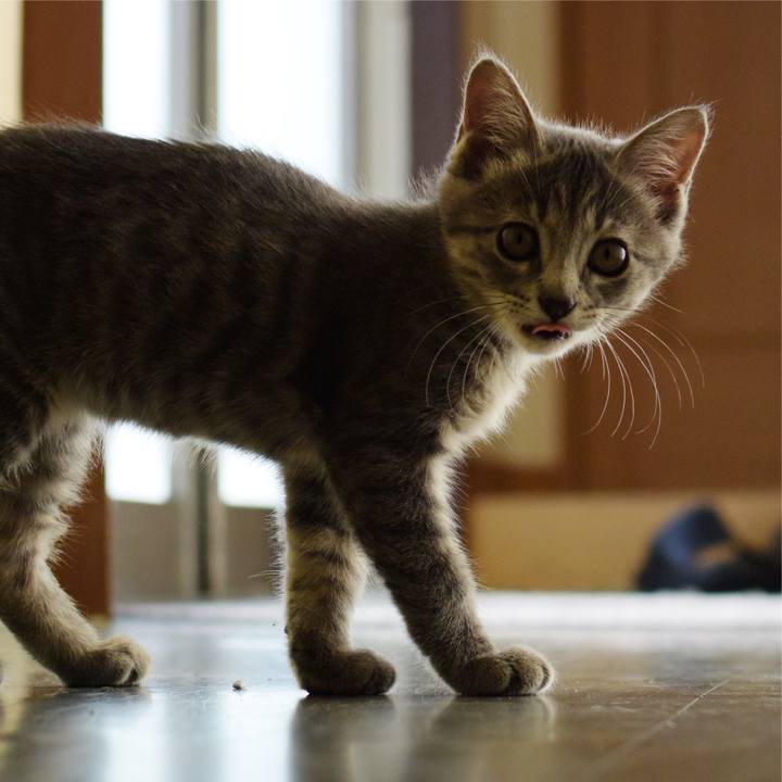 D3e3a43d 75ab 42c3 aec6 079af2d1428b