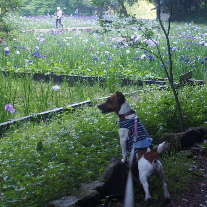 D3e3bcdd 5283 4fb6 919a a41beb0dd2e6