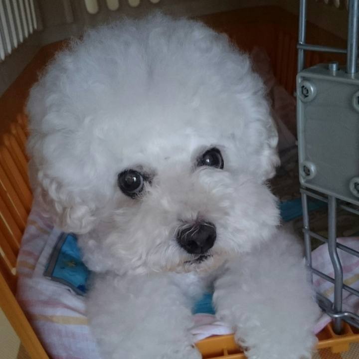 D3e3dc7f fe95 4249 accc d5ef1a8e46c8