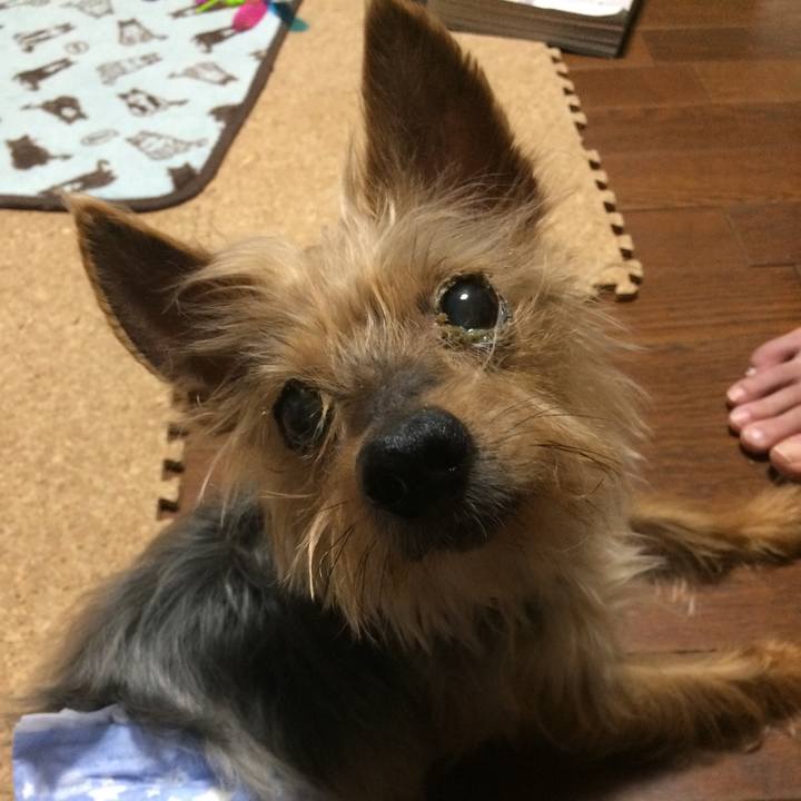 D3e422c2 b93b 4e7b be1e 004bdbb1018d