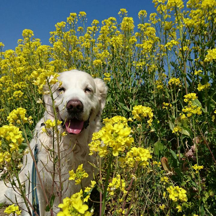 D3e42894 994a 4b40 8de1 70c7fa1100e1