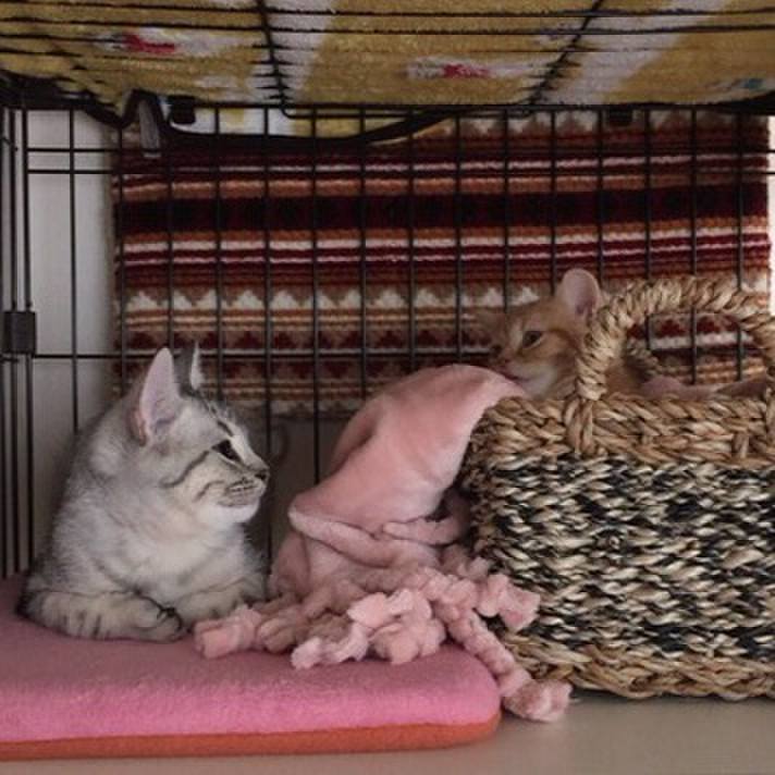 D3e52fe3 fc5a 4616 ac15 090d6c8d57f6